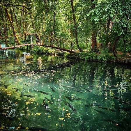 Янтарная Форель Bushtyno Bagian luar foto